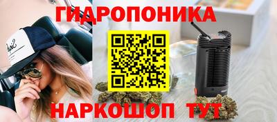 тгк Ставрополь