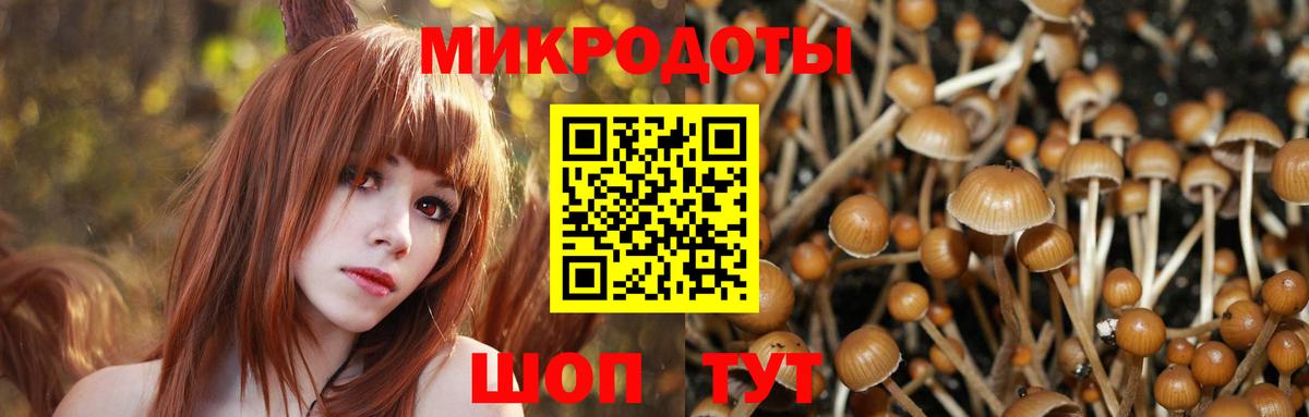 Псилоцибиновые грибы MAGIC MUSHROOMS  Псилоцибиновые грибы мухоморы  Вход с VPN  Норильск 